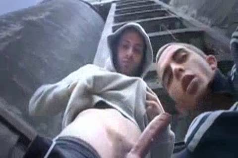 Fit Scally Chav boyz Outdoor 3some
