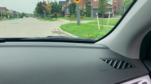 Pranksters - Dante Colle & Kit Cohen ass Hook up