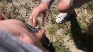 guys In Public 5 – Hike - ass-copulation