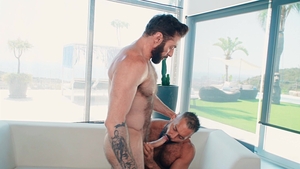 Bromo: Hairy Chests Spark a Passionate Affair