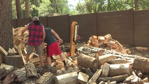 Family Dick: Hardwood Chopping Leads to Hard Fun